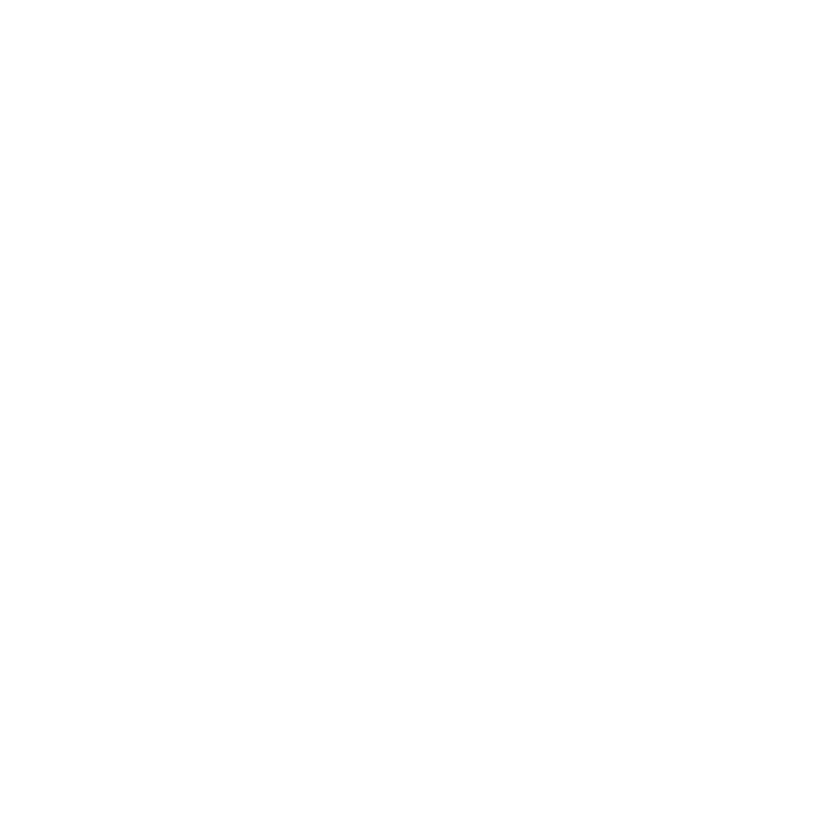 ドローン橋梁点検 豊富な実績